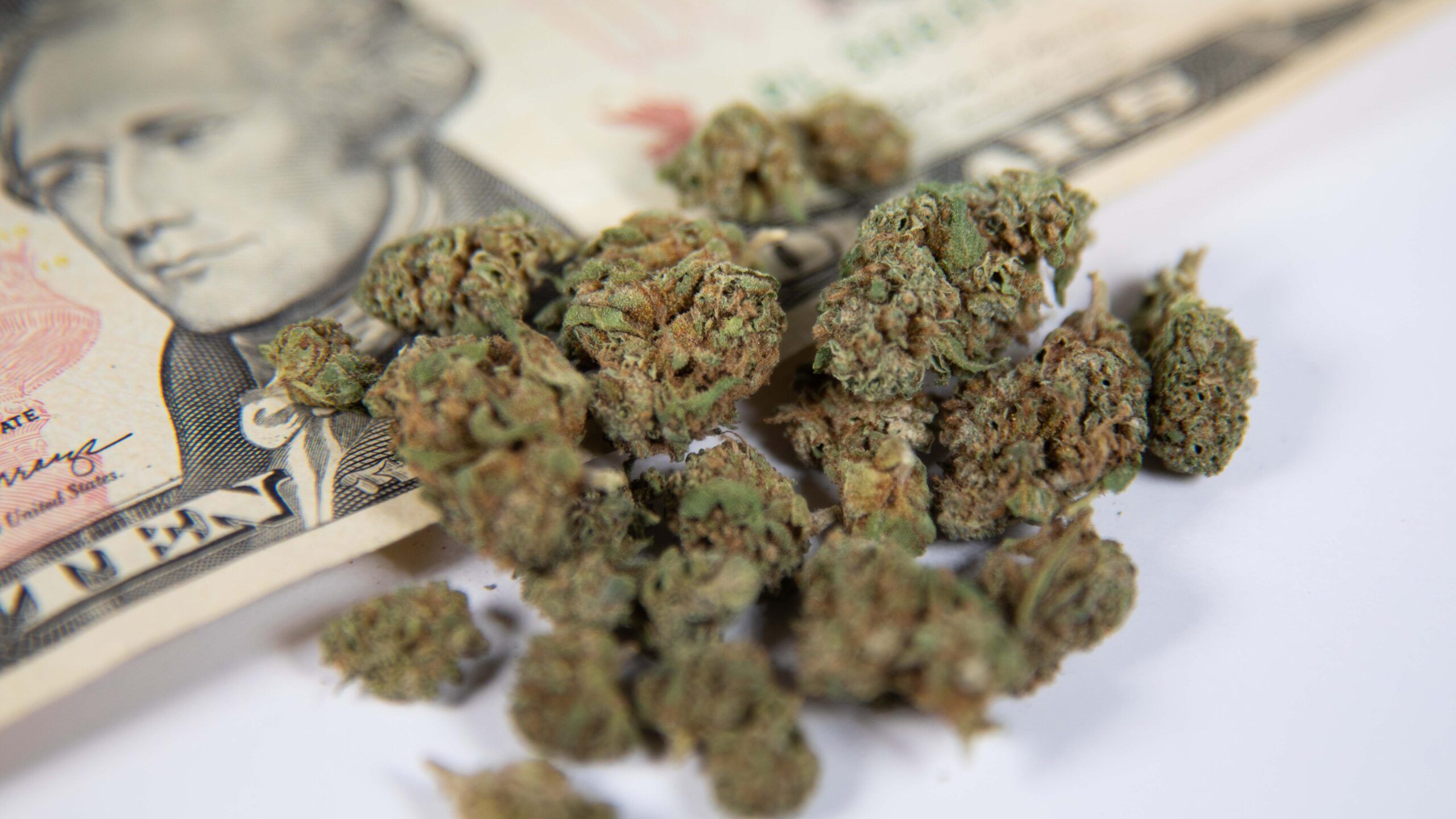 The Real Cost Savings Behind Marijuana Rewards Programs